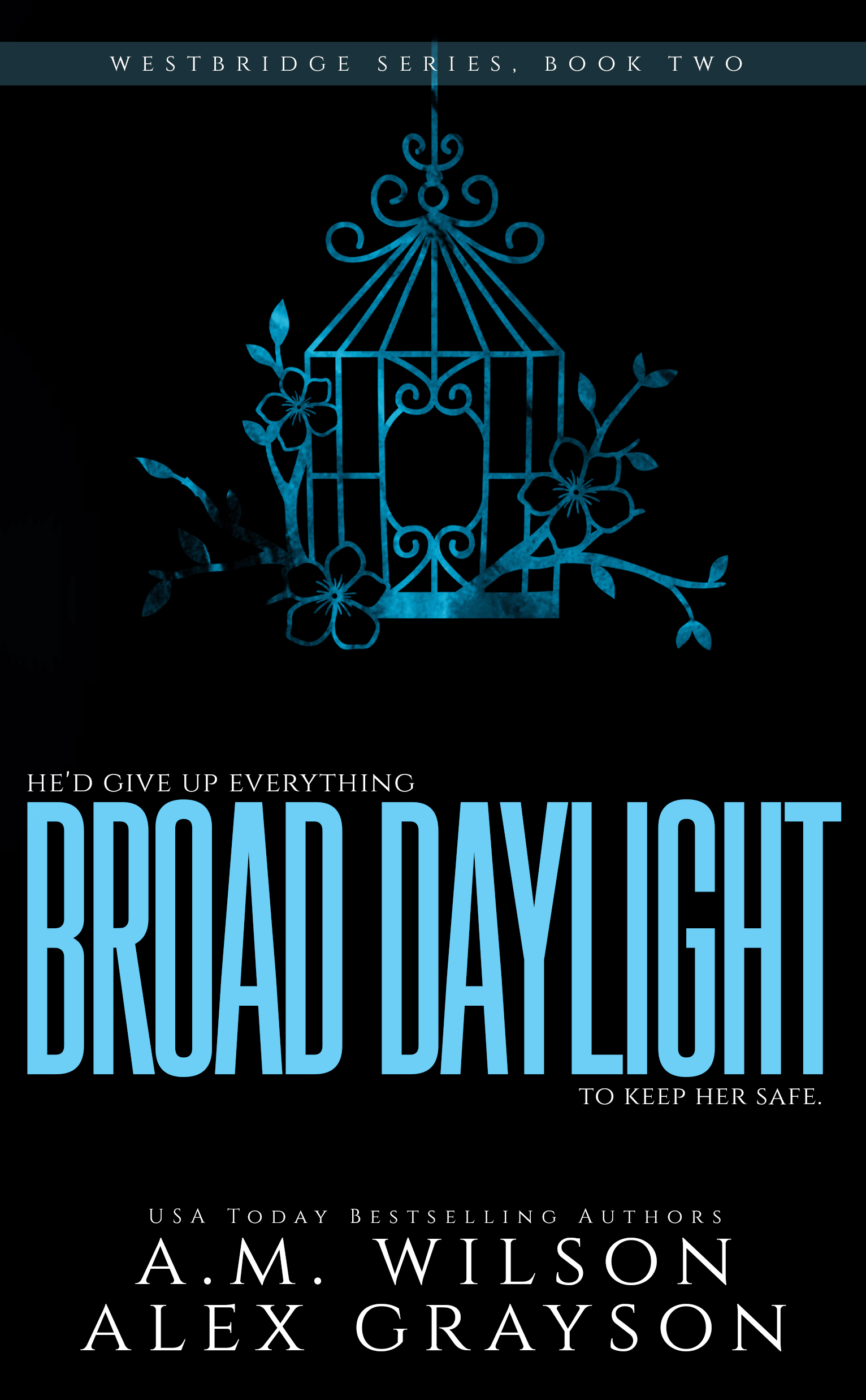 EBOOK-BroadDaylight